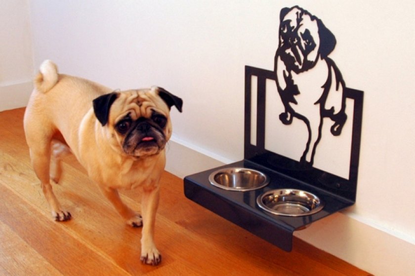 Миска для собаки