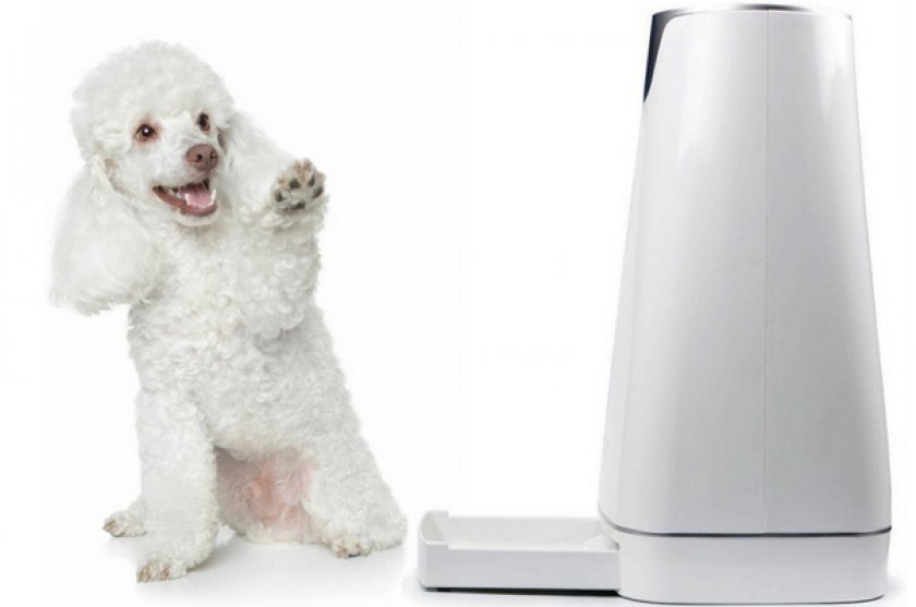 Электрическая автокормушка с таймером: