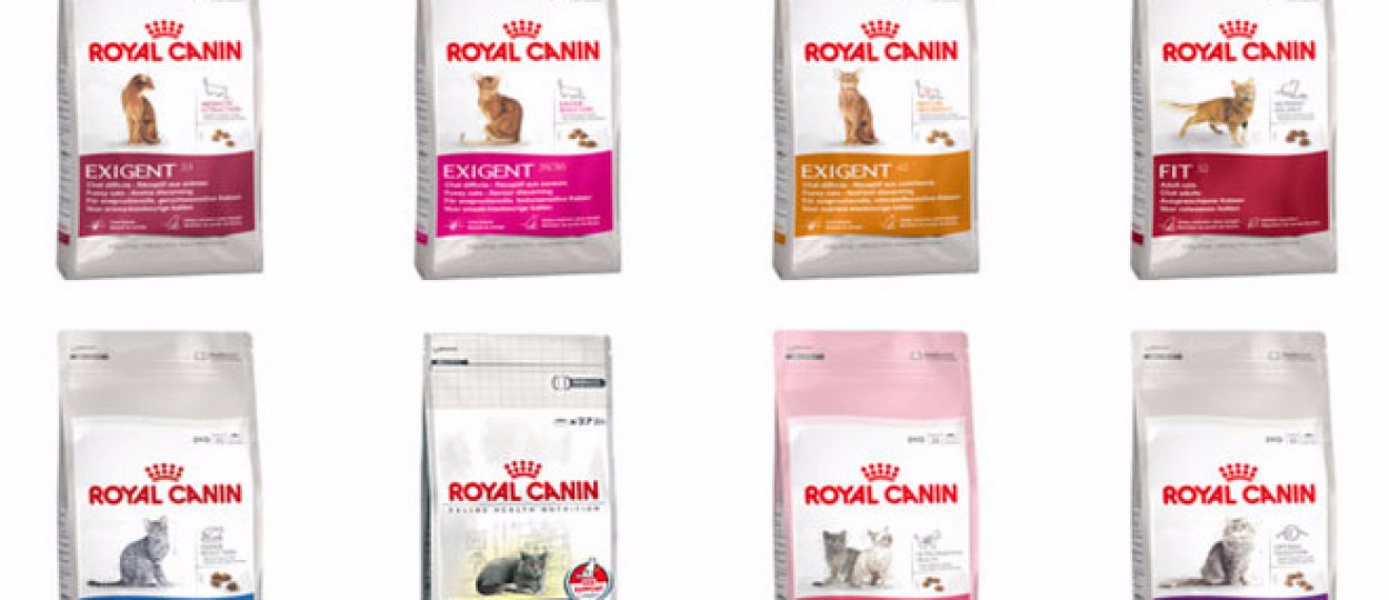«Роял Канин» (Royal Canin) для котов и кошек: описание и виды премиум корма