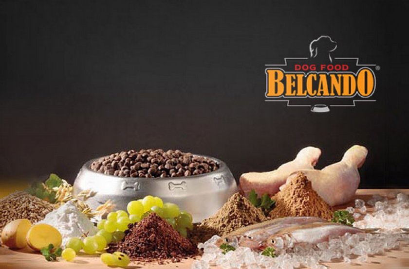 «Belcando» «Belcando»