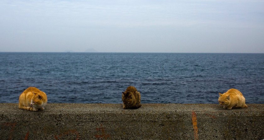 На берегу моря