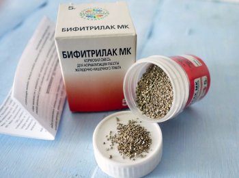 «Бифитрилак» для кошек и собак: от чего и как давать