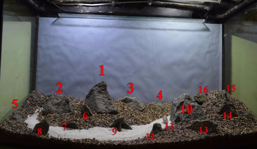 камни камни