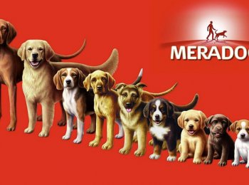 Все о корме для собак Meradog
