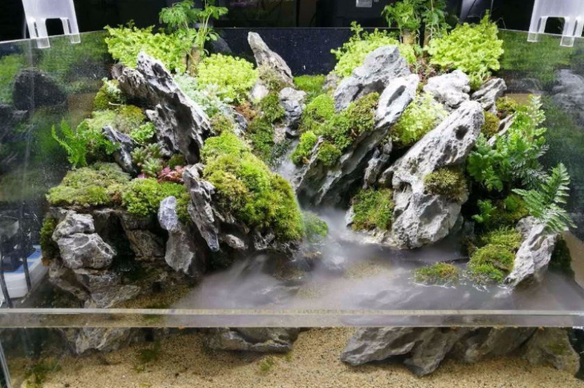 аквадизайн