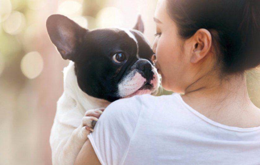 Анафилактический шок