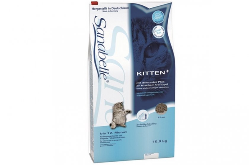 Санабель Киттен