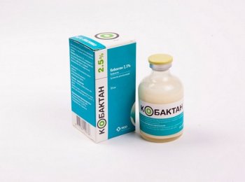 Суспензия для инъекций «Кобактан» — как использовать для домашних животных (собаки, кошки)