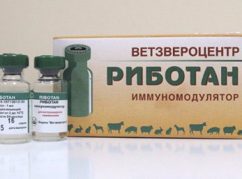 «Риботан» — от чего и как использовать для собак