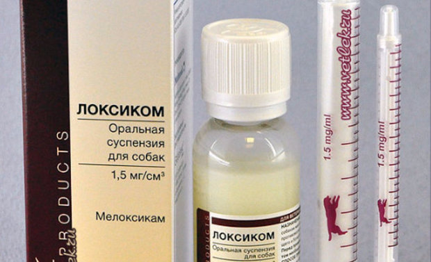 «Локсиком» «Локсиком»
