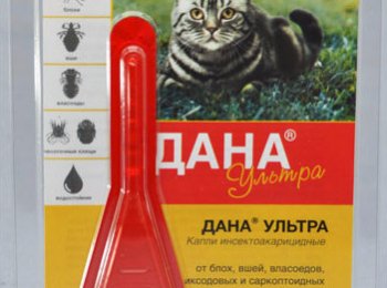 Препарат «Дана Ультра» для борьбы с эктопаразитами собак и кошек