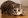 Особенности и периодичность течки у кошек