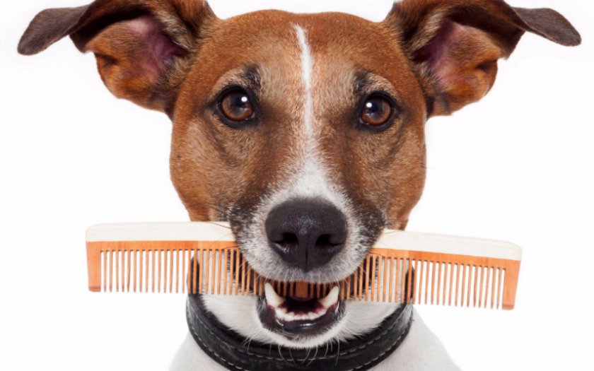 Расчесывание