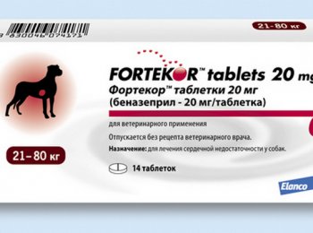 Таблетки «Фортекор»: как давать собаке