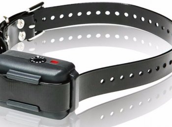 Ошейник «антилай»: как использовать устройство, не нанося вред собаке