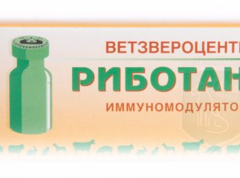 «Риботан» — от чего и как использовать для кошек