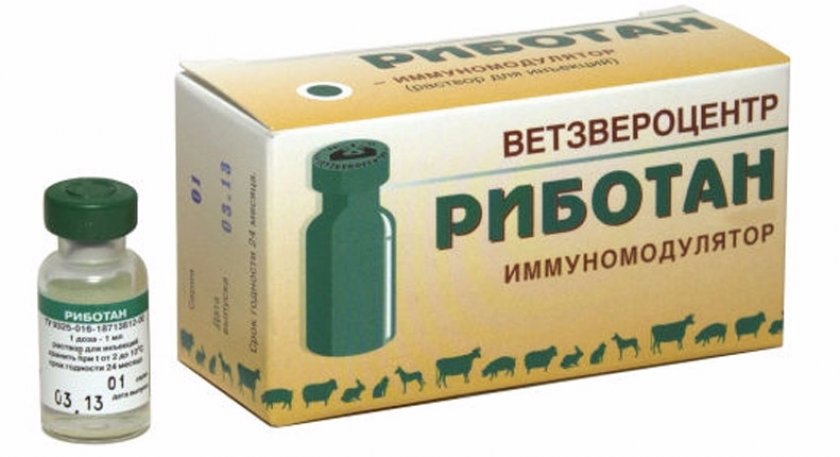 «Риботан» «Риботан»