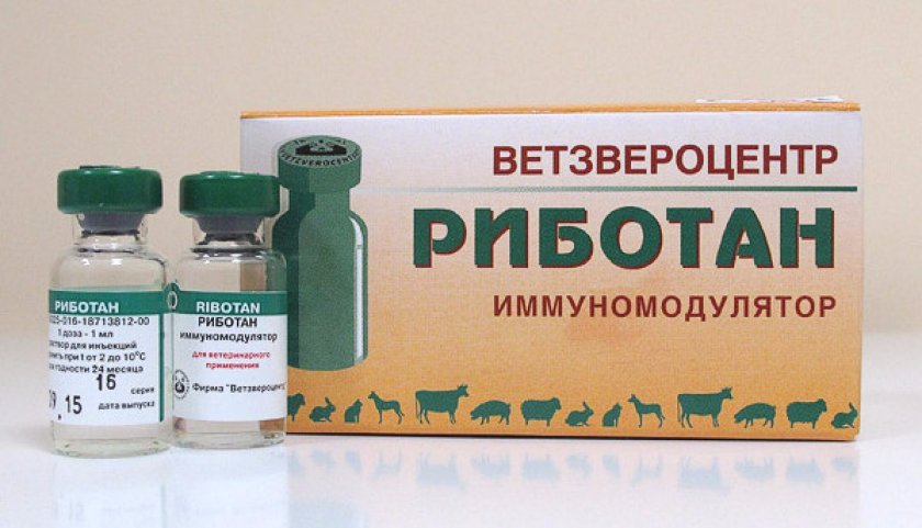 «Риботан» «Риботан»