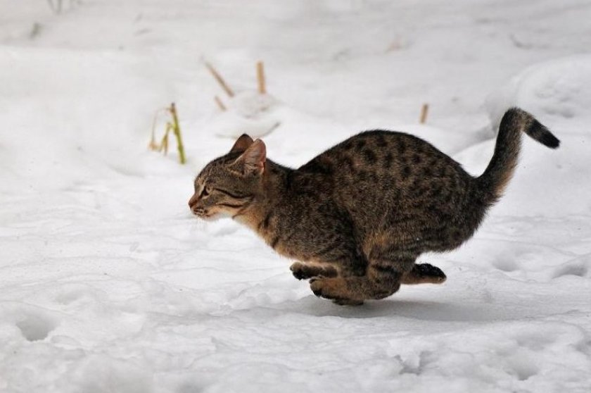 Дорога домой