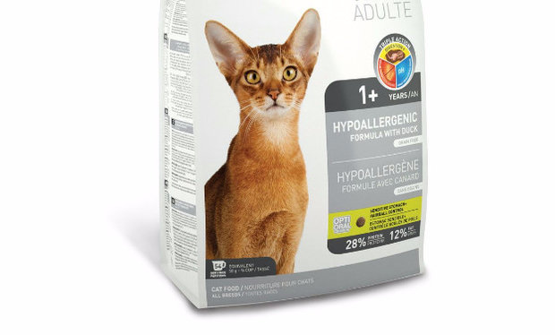 Hypoallergenic Hypoallergenic