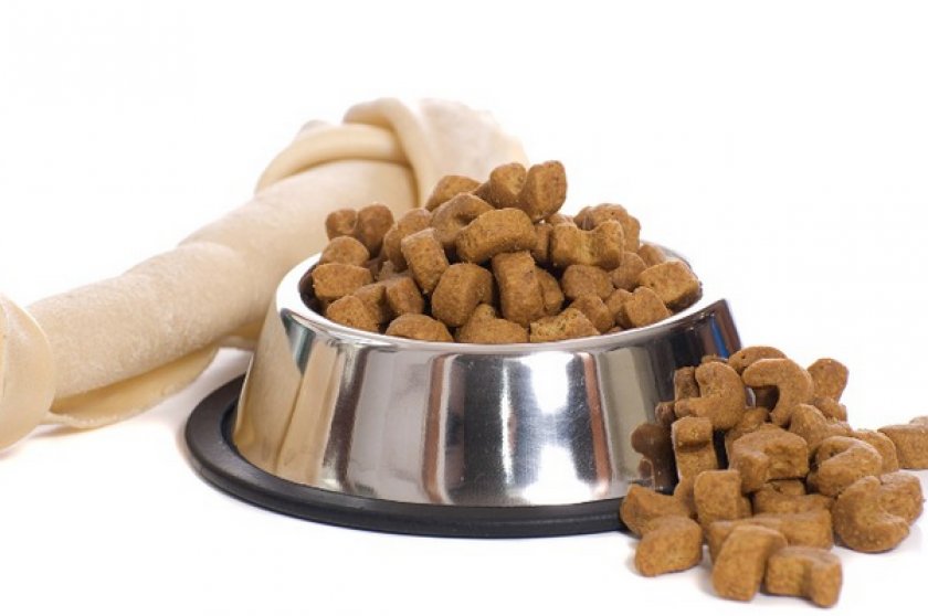 Питание собаки