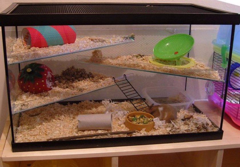 Аквариум Аквариум