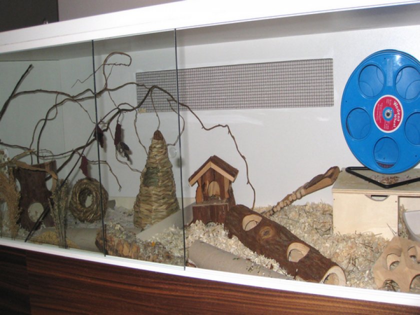 Домик Домик