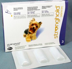 Капли на холку «Стронгхолд»: как использовать для собак