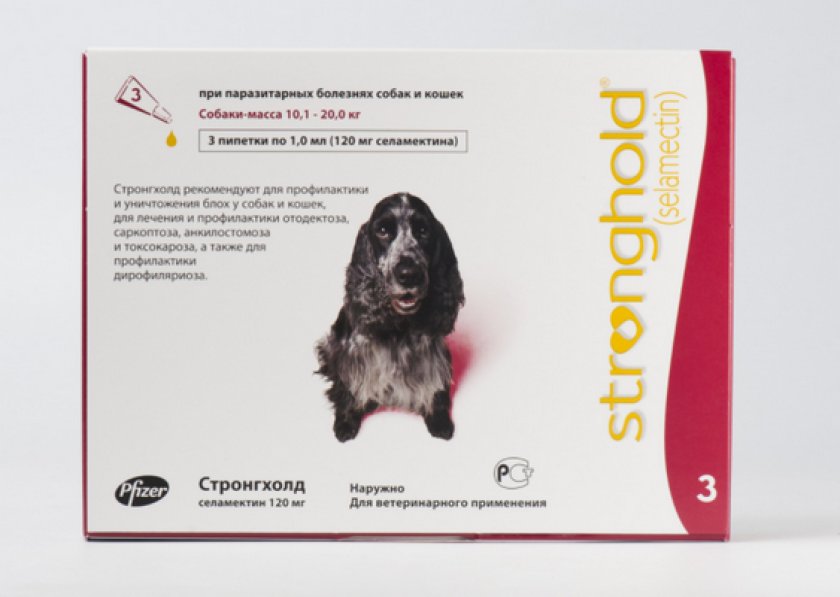 Срок годности и условия хранения