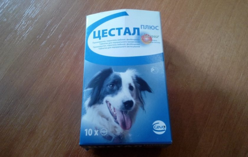 «Цестал» для собак