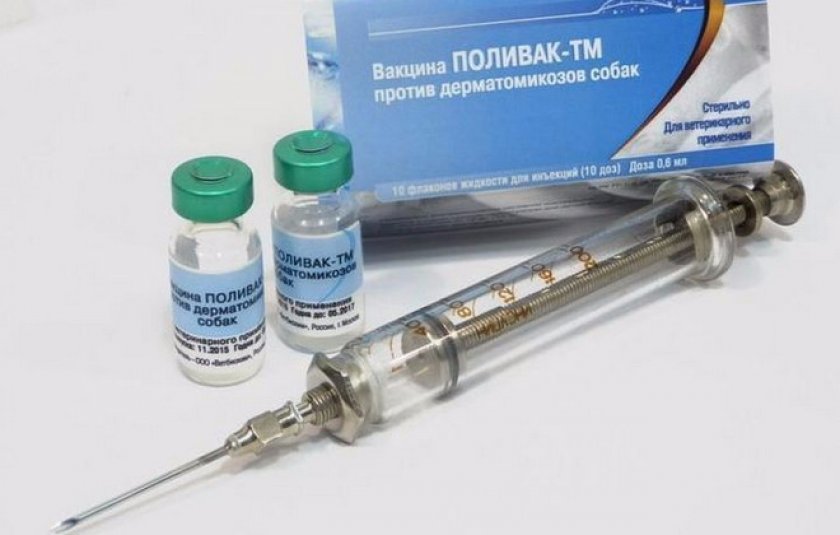 Российские вакцины для собак. Вакцина Поливак ТМ. Рабикан вакцина. Вакцины для собак. Поливак для собак.