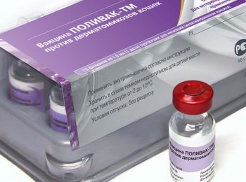 «Поливак-ТМ»: от чего помогает, как применять для кошек