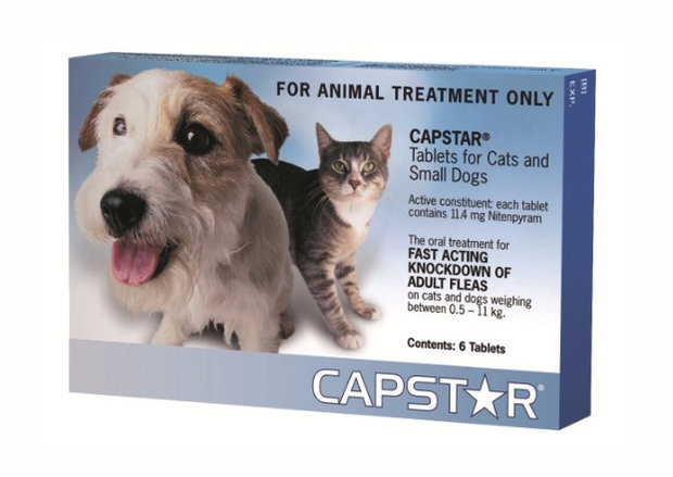 «Capstar» «Capstar»