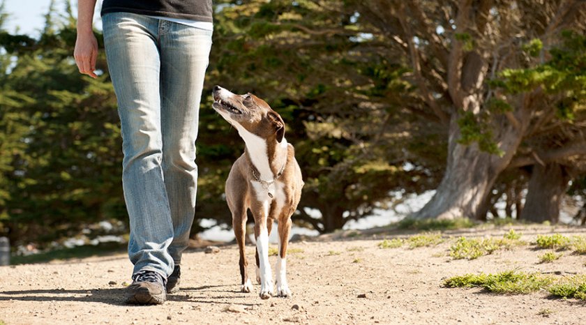 Команда Рядом Команда Рядом