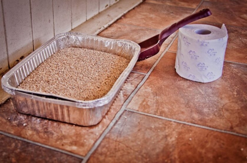 Туалет для собаки Туалет для собаки