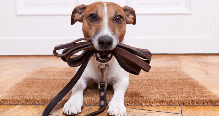 гулять гулять