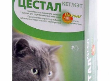 «Цестал Кэт» — от чего помогает и как давать кошке