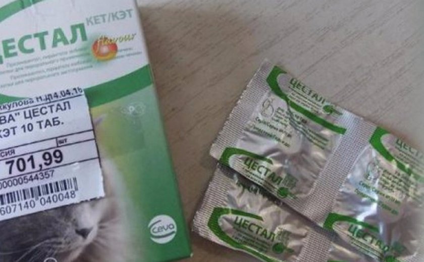 Цестал для кошек