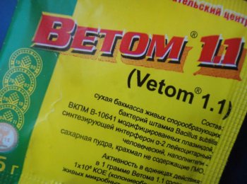 Как принимать «Ветом 1.1» для собак