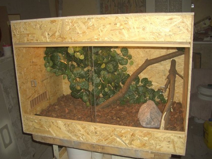 Деревянный террариум Деревянный террариум