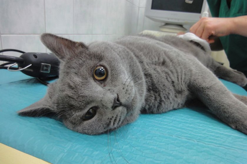 Введение наркоза