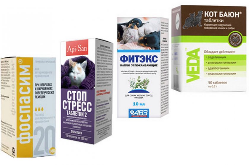 Успокоительные препараты