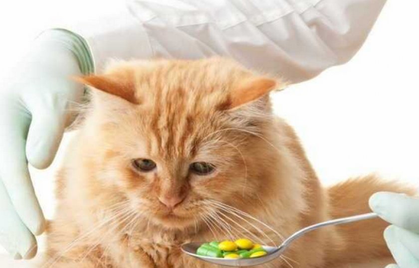 Препарат «Легафитон 200»