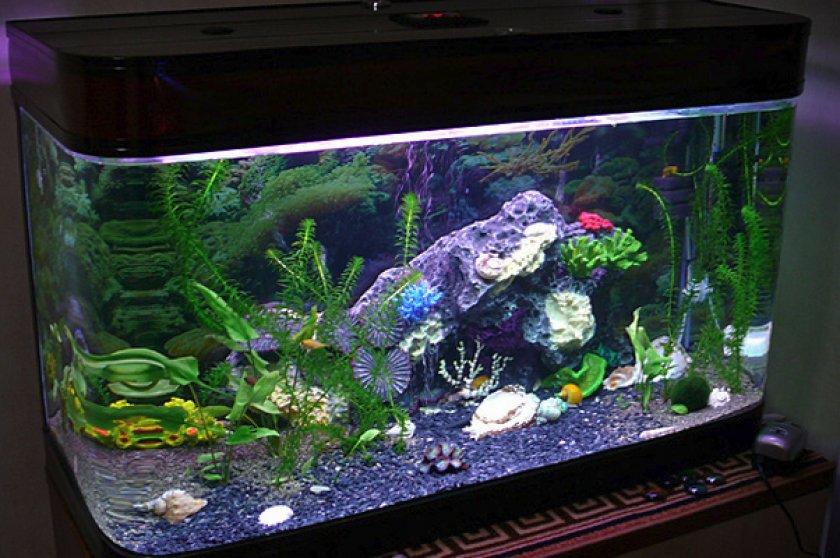 Аквариум
