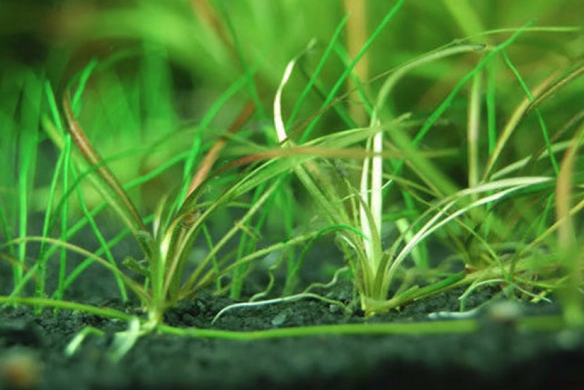 Параметры среды