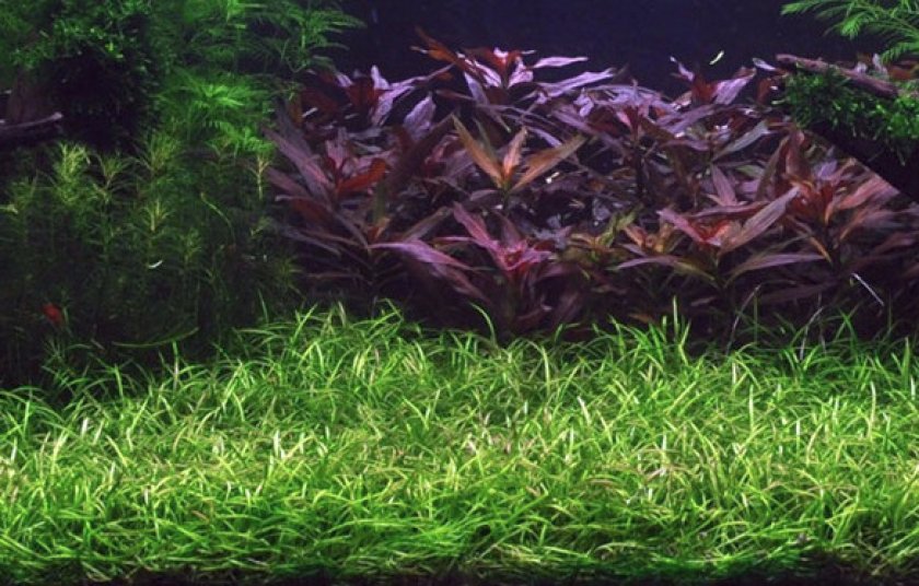 Фильтрация