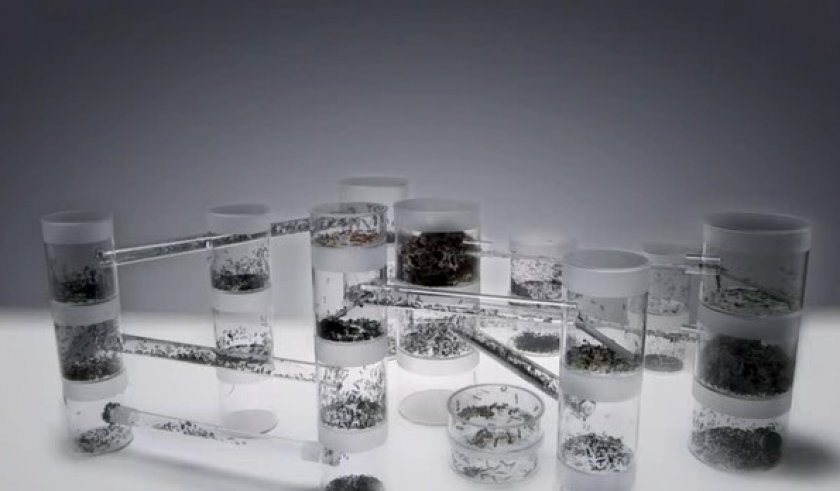 формикарий