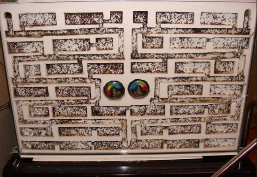 формикарий