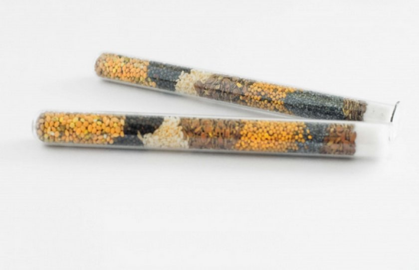 формикарий