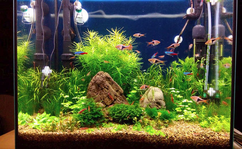 Уход и гигиена